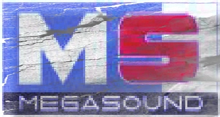 MEGASOUND LOGO